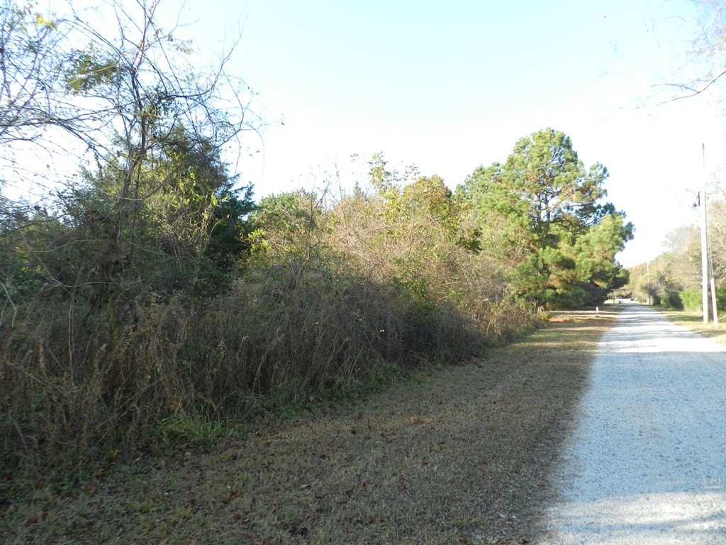 Picture 27