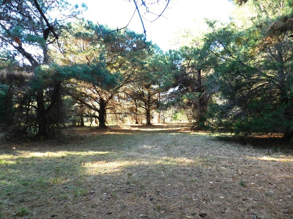 Picture 17
