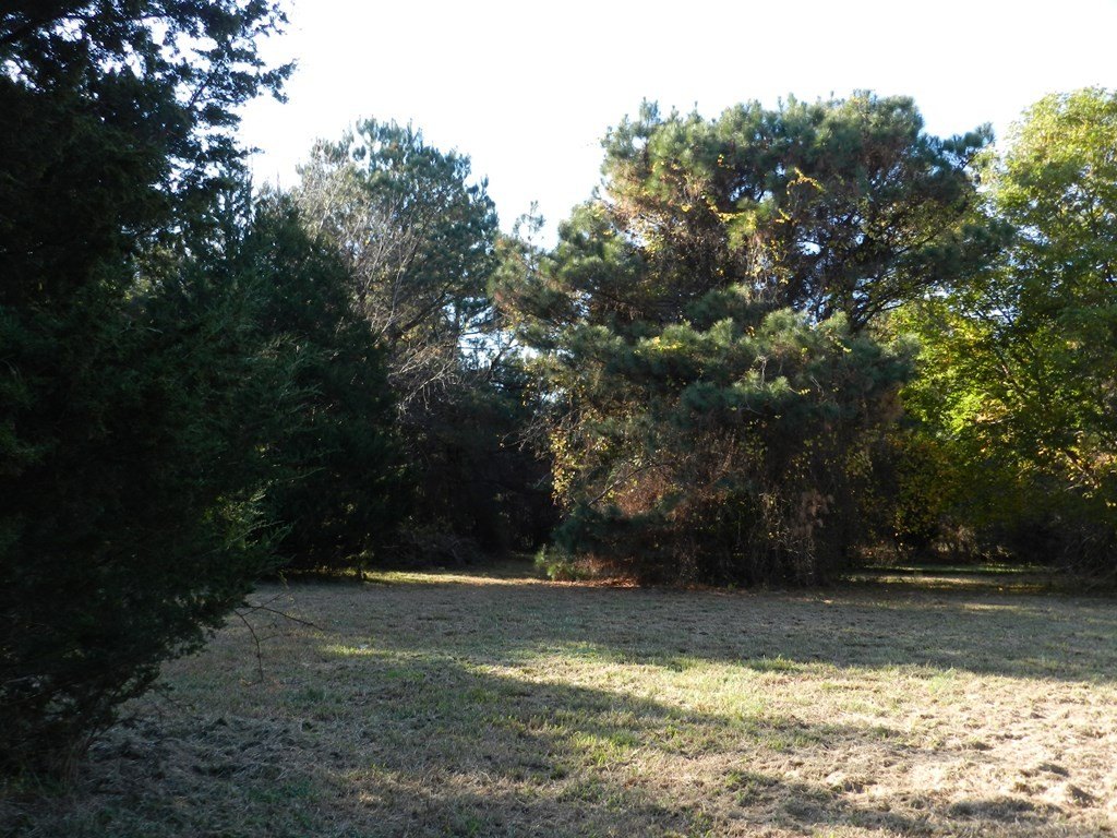 Picture 9