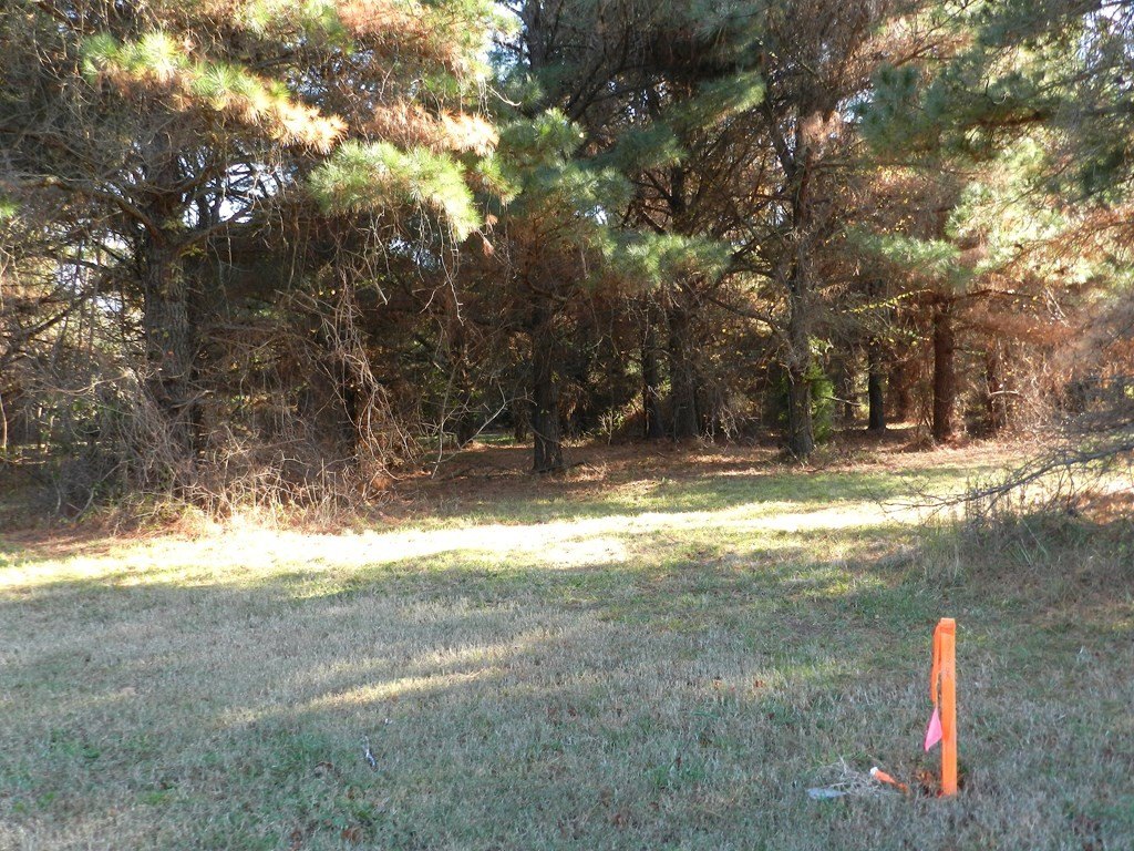 Picture 12