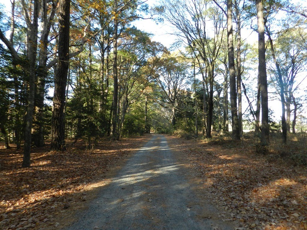 Picture 30