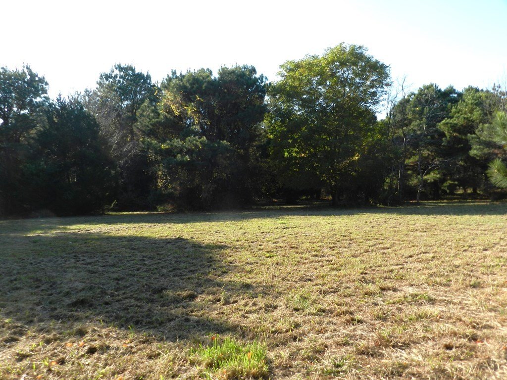 Picture 8