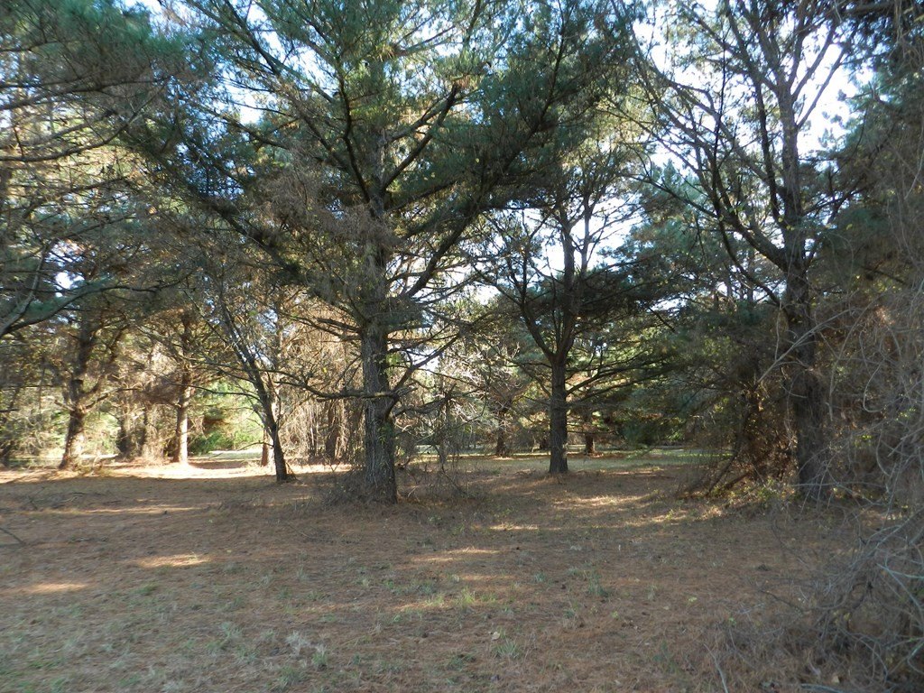 Picture 14