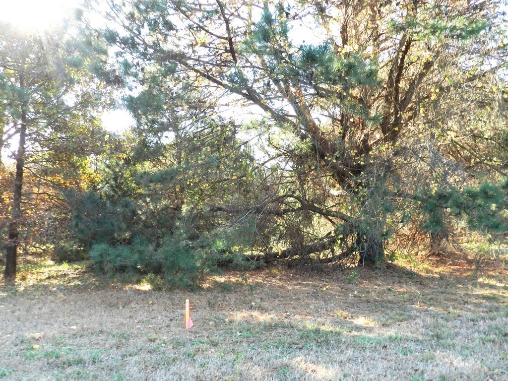 Picture 11