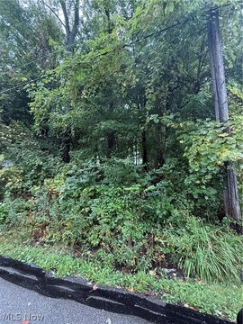 Land, Painesville Twp, OH