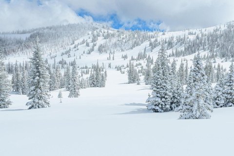 Land, Brian Head, UT