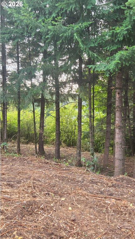Picture 14