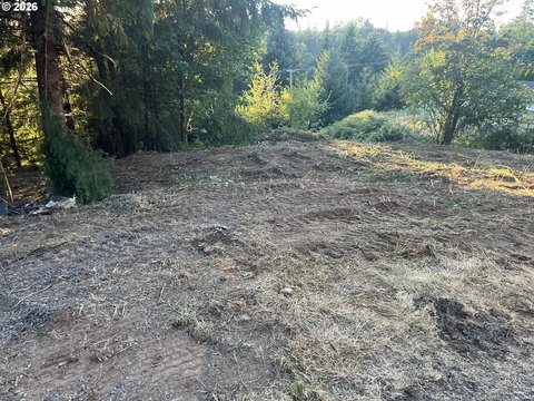 Land, Winlock, WA