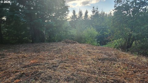 Land, Winlock, WA