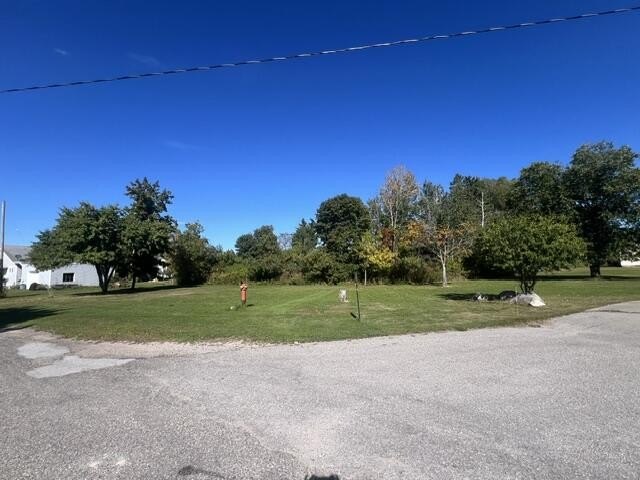 Picture 9