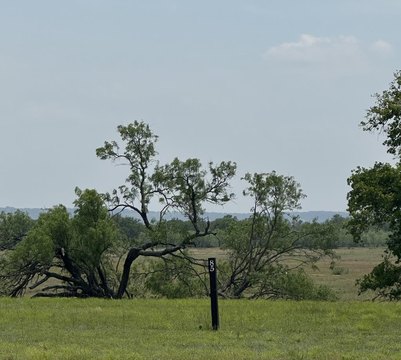 Land in Southern Living Community