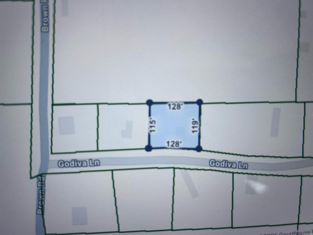 Picture 13