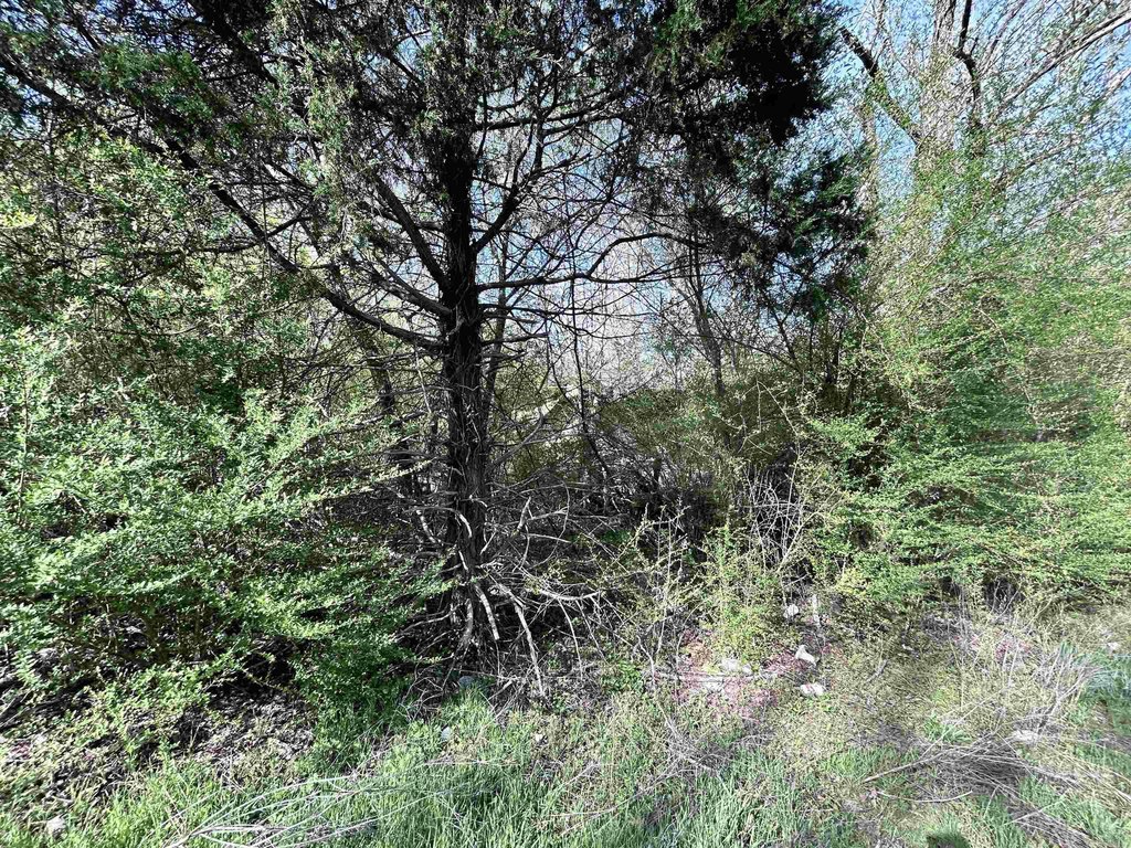 Picture 6