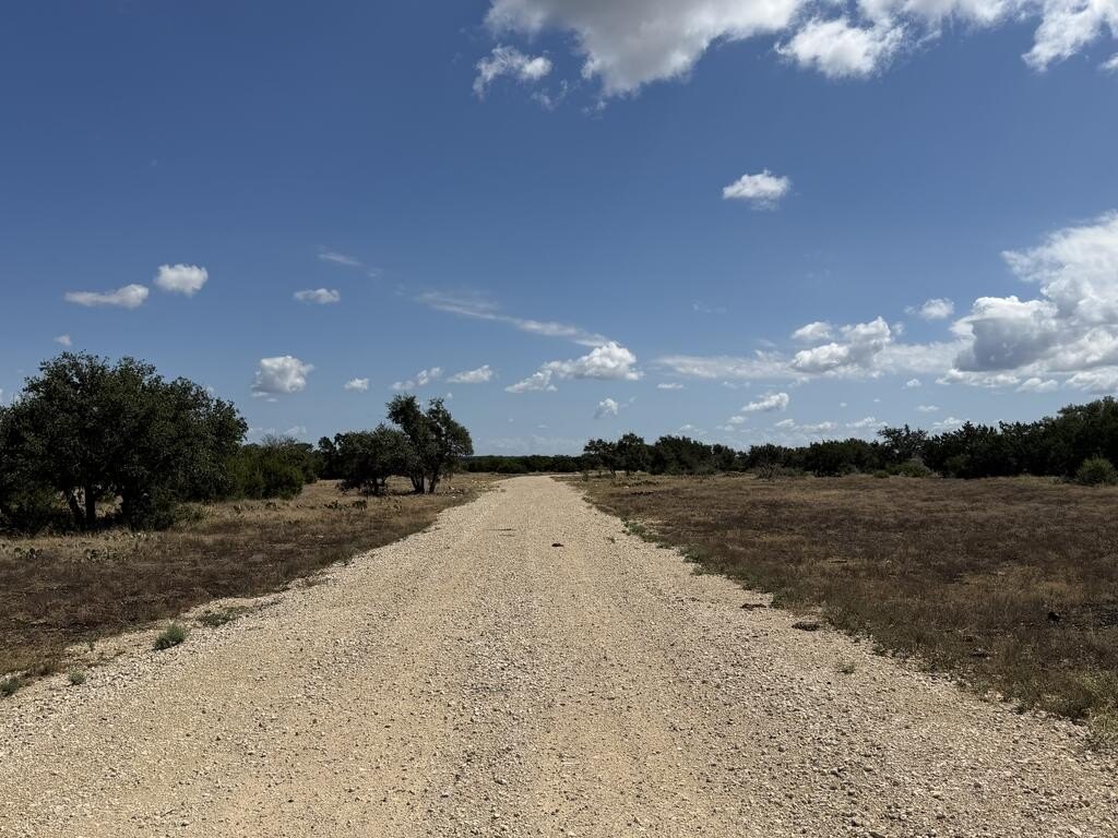 Picture 19