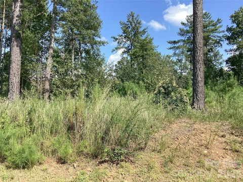 Land, Connelly Springs, NC