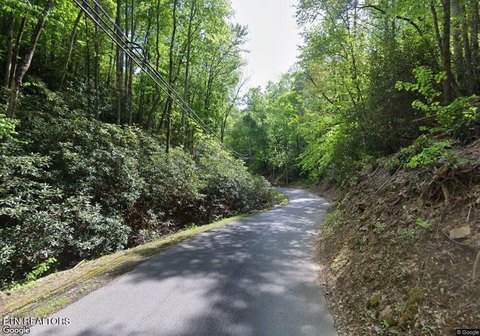 Lots & Acreage, Gatlinburg, TN