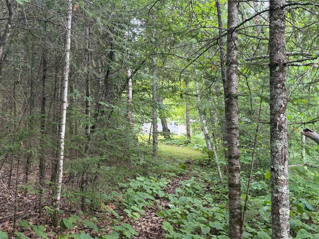 Picture 19