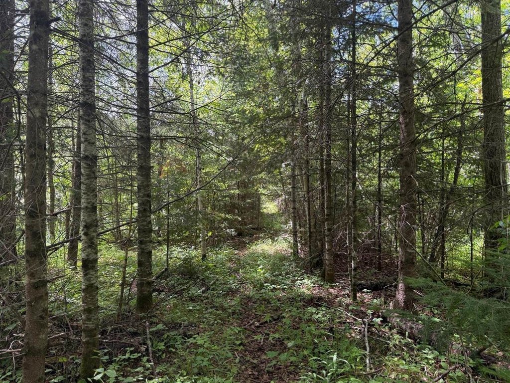 Picture 21