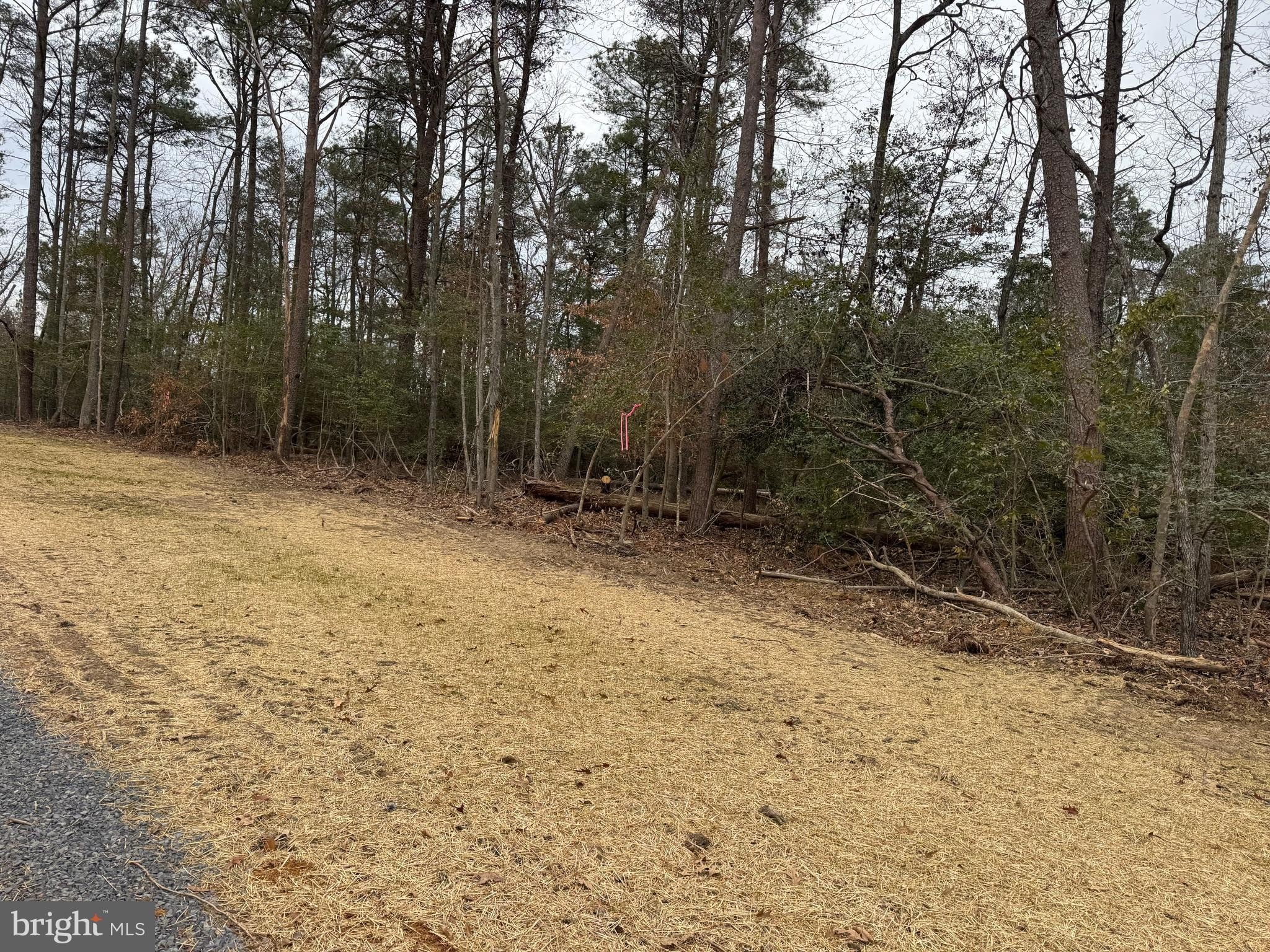 Waterfront Land in King George