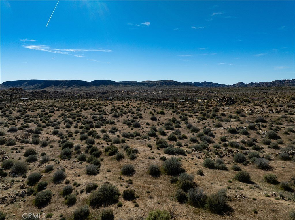 Picture 20