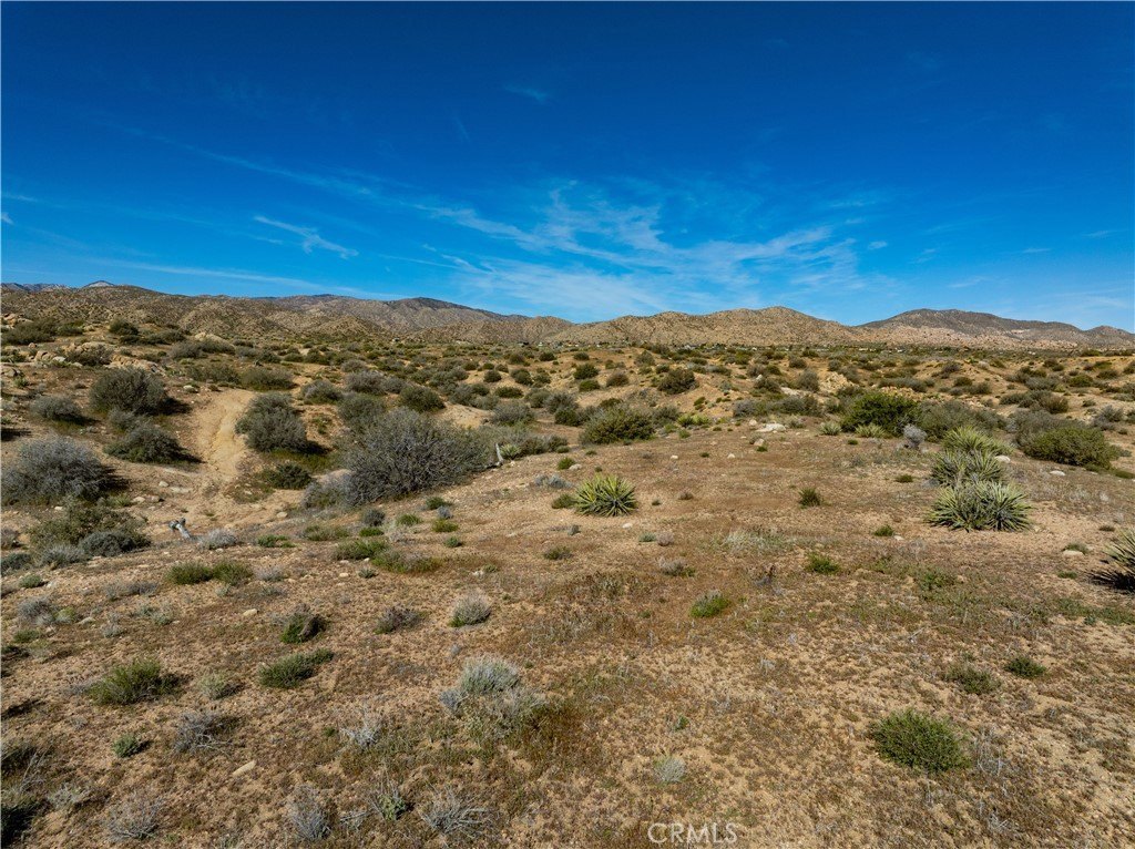 Picture 30