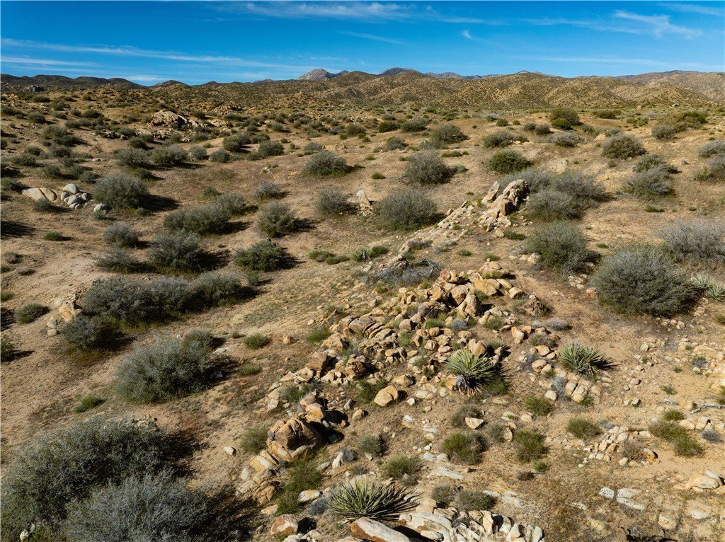 Picture 36