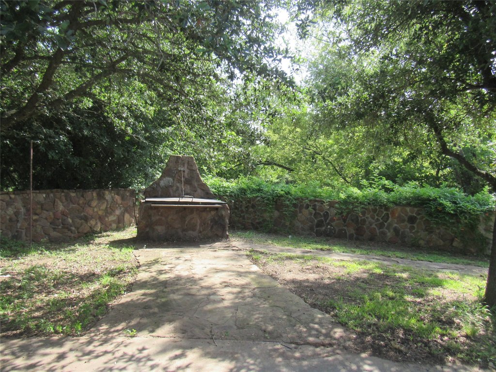 Picture 5