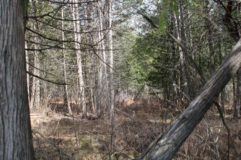 Land, Ripley, ME
