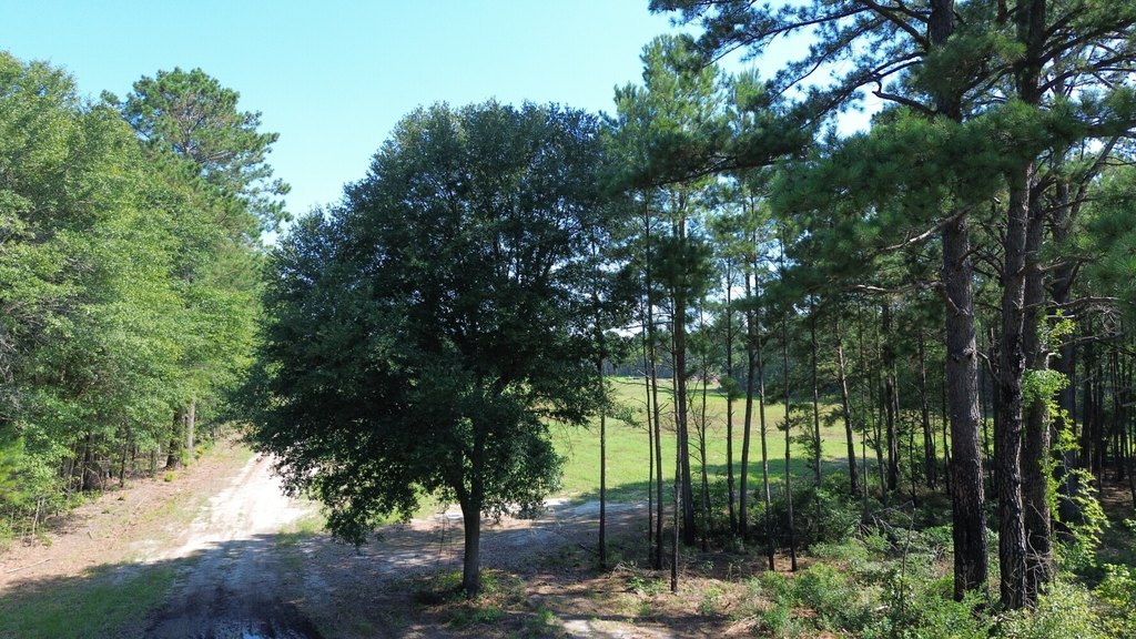 Picture 4