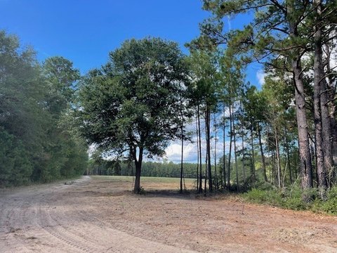 Cross, SC Vacant Land
