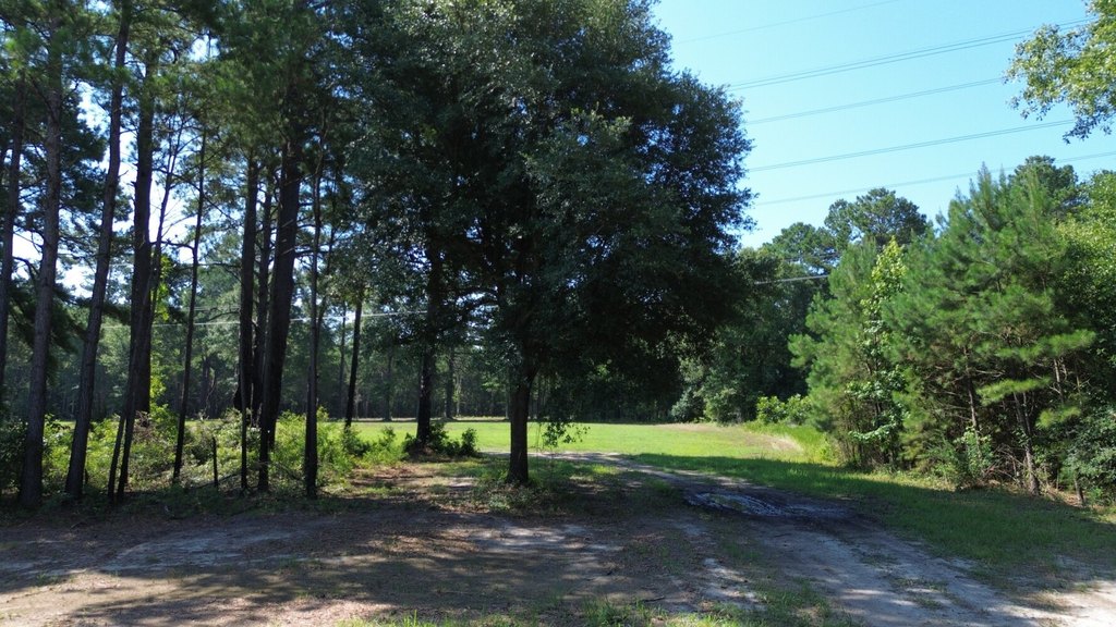 Picture 11