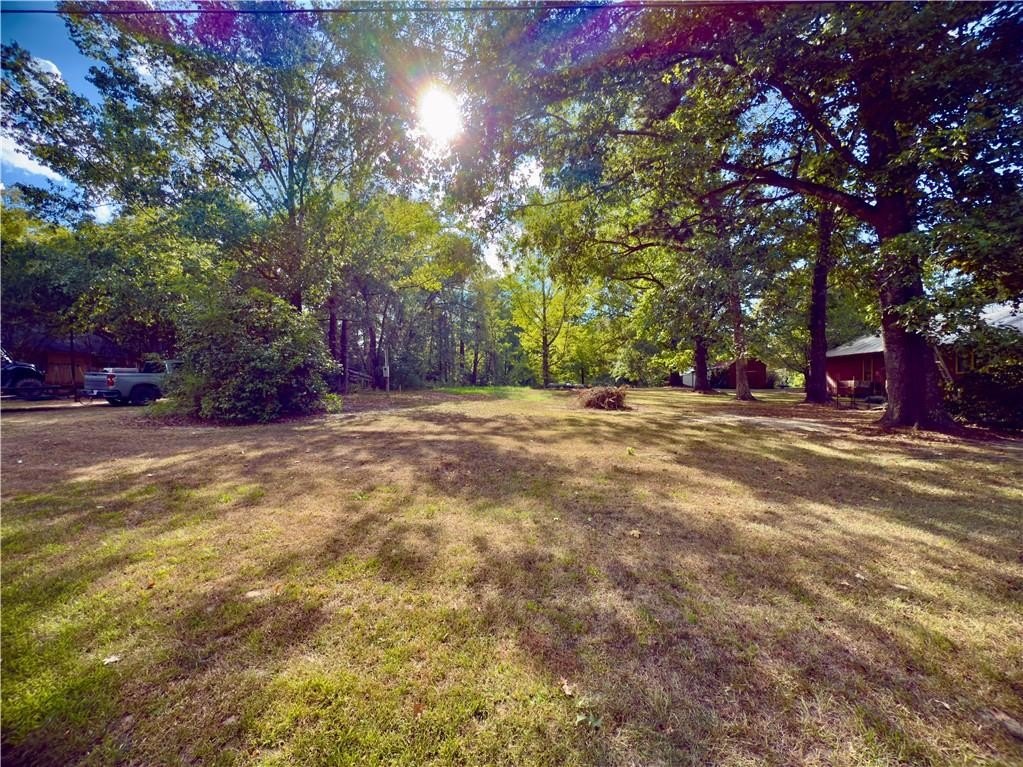 Picture 3