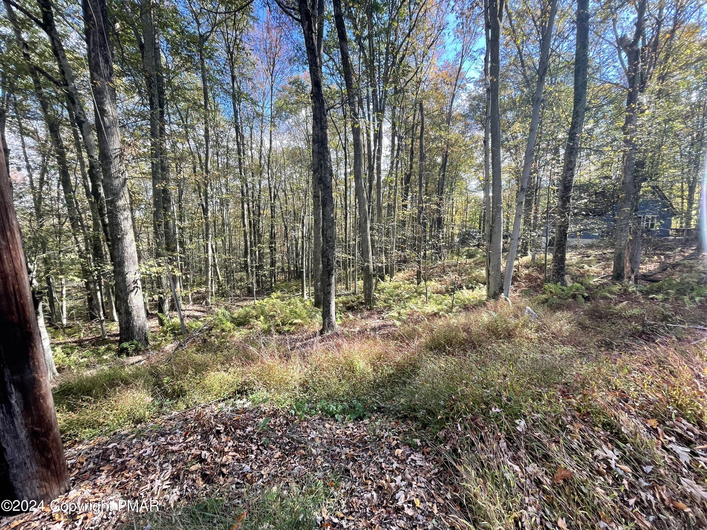 Land in White Haven, PA