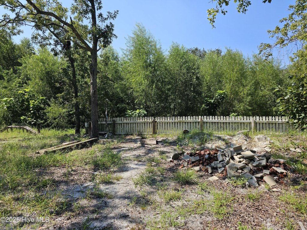 Picture 6