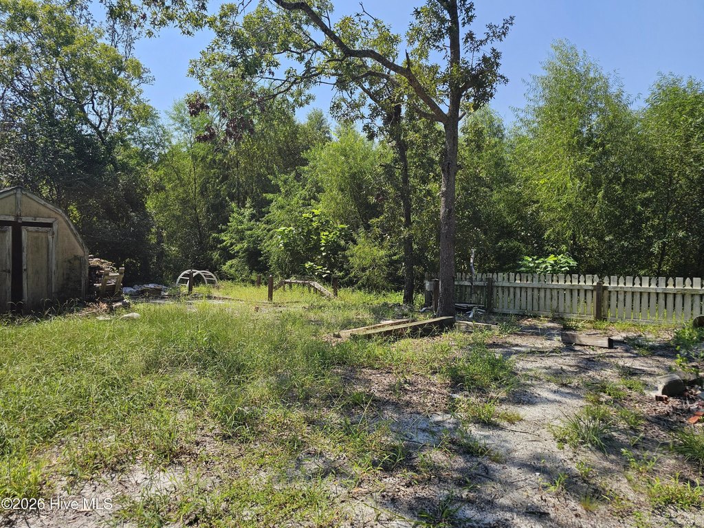 Picture 5