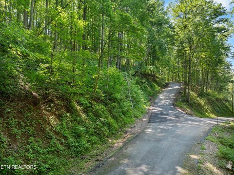 Sevierville Wooded Lot with Views