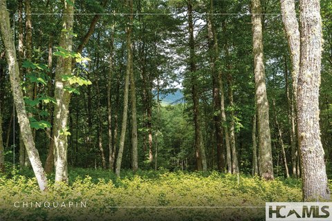 Glenville Mountain View Lot