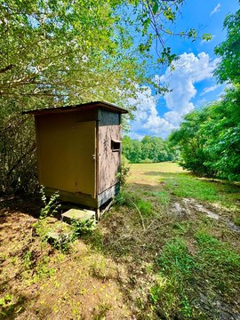 Hunting Land with Food Plot