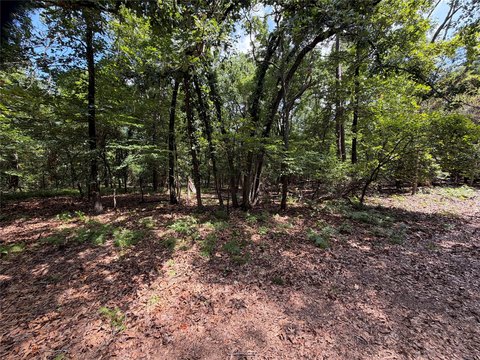 LAND - Scroggins, TX