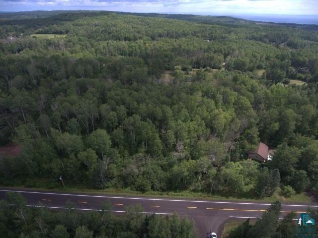 Picture 19