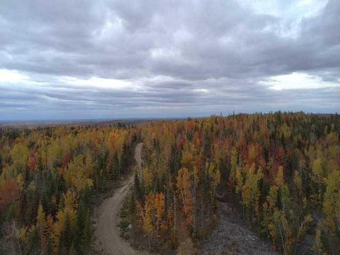 331-Acre Hunting Land