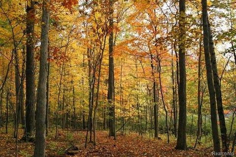 Vacant Land, Webster Twp, MI