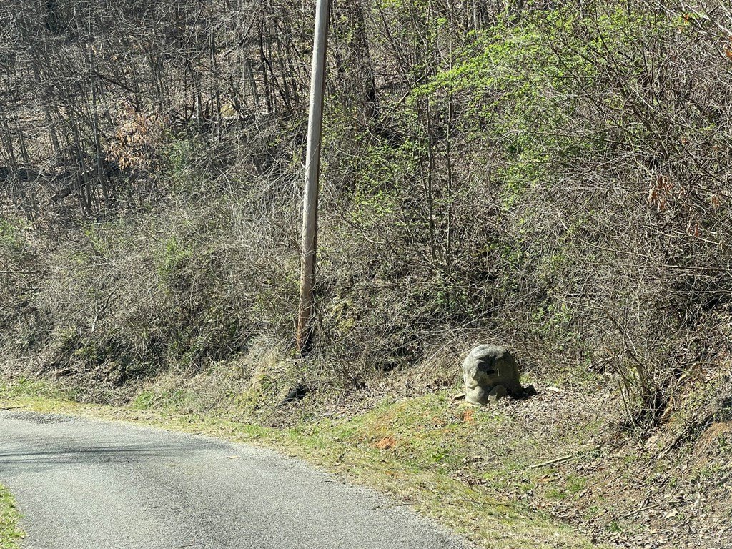 Picture 4