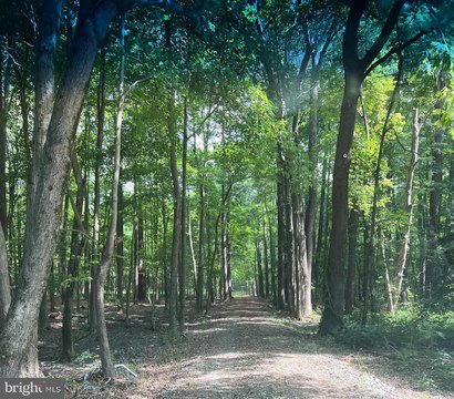 Land, ROYAL OAK, MD