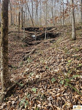 Wooded Acreage Near Dale Hollow