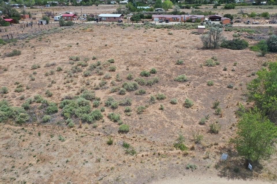 Picture 15