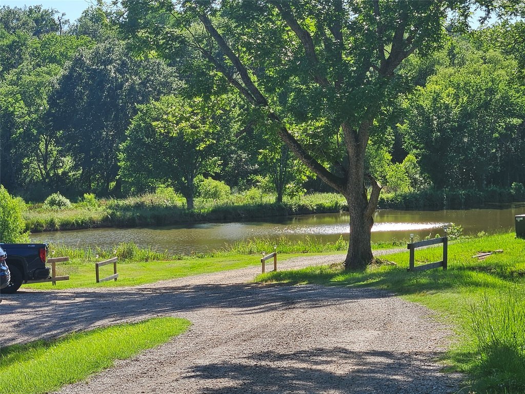 Picture 23