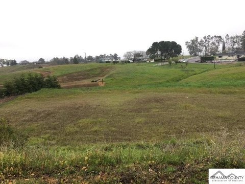 Red Bluff Land Parcel