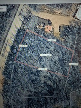 Runaway Bay Treed Lot