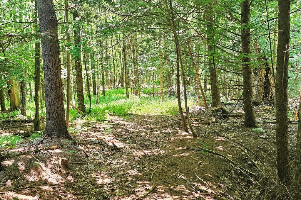 Picture 13
